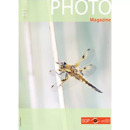 Photo Magazine-Juin 2025 25061865