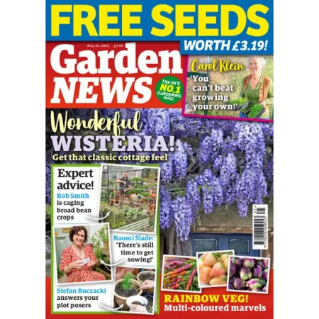 Garden News-24 May 2025 25061241