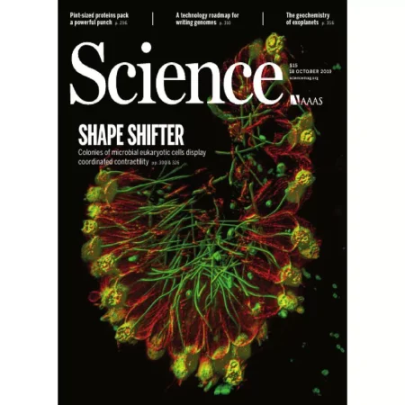 Science 18 October 2019 25042779