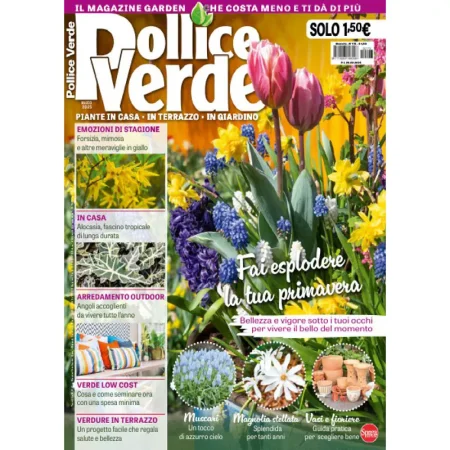 Pollice Verde-Marzo 2025 25032072