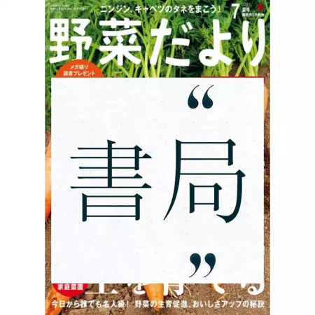 野菜だより-July 2025 25060957