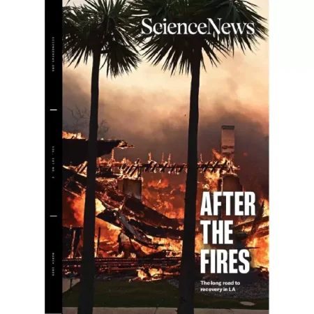 sciencenews-0325 25032776