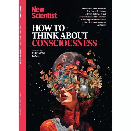 How to Think About Consciousness 2025 25032068