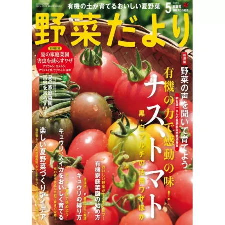 野菜だより-May 2025 25041198