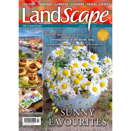 Landscape UK-July 2025 25061260