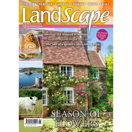 Landscape UK-June 2025 25051751