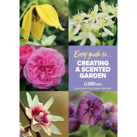 Amateur Gardening Easy Guide-Issue 5 2025 25042704