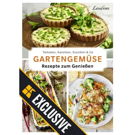 LandIDEE-7 Juni 2025 25062343