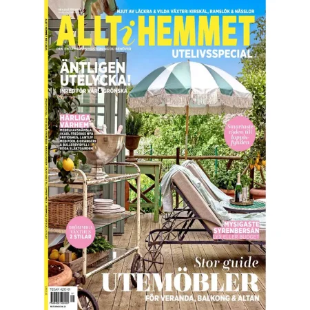 Allt i Hemmet-19 Mars 2025 25042304