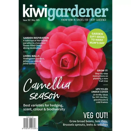 Kiwi Gardener 05.2025 25060238