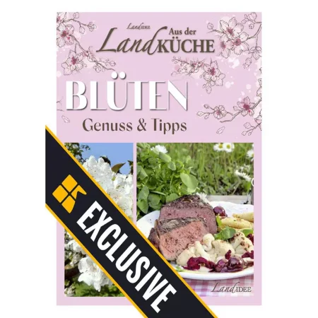LandIDEE LandKüche-15 M_rz 2025 25042344