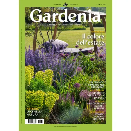 Gardenia Giugno 2025 25060343