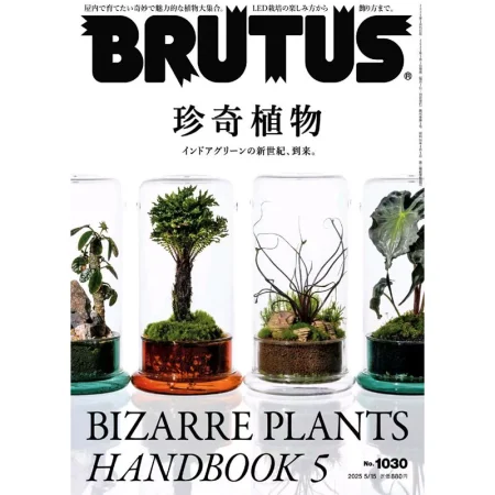 brutus-2025-0515 25052910