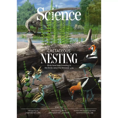 Science-290525 25062076