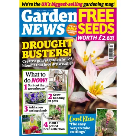 Garden News-31 May 2025 25061835