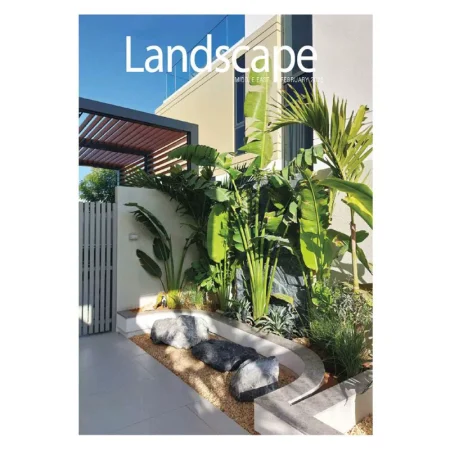 Landscape-02.2025 25032658