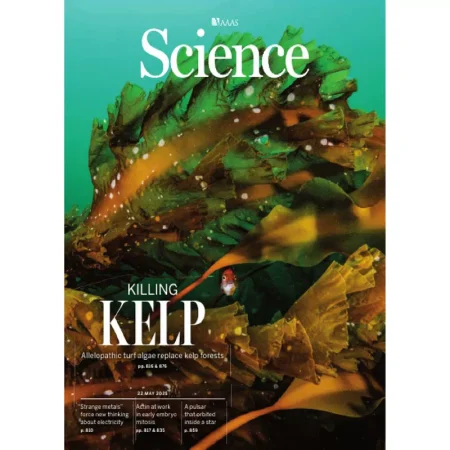Science-220525 25061875