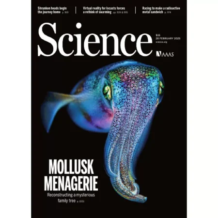 Science-280225 25041675
