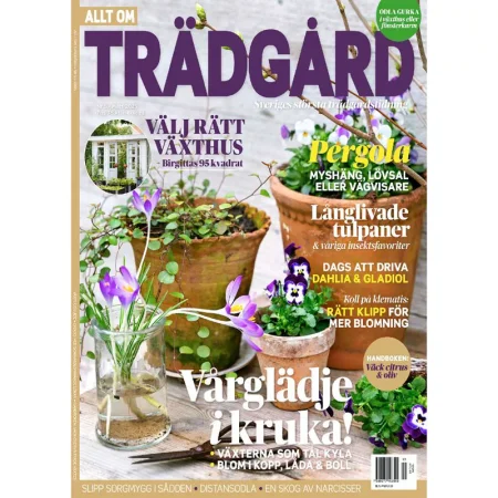 Allt om Tr_dg_rd-5 Mars 2025 25040903
