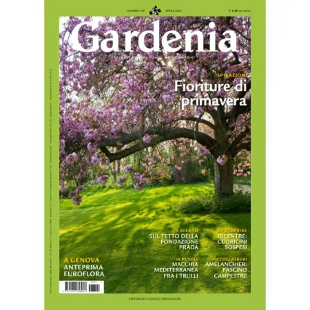 Gardenia-Aprile 2025 25042837