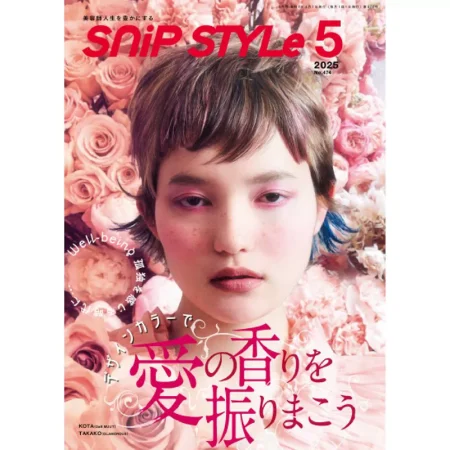 Snip Style-May 2025 25042987