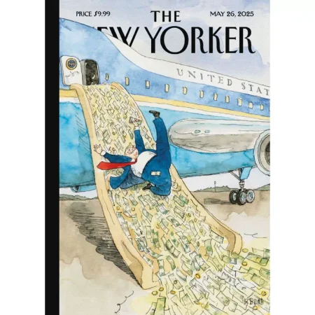 The New Yorker-05.19.2025 25060678