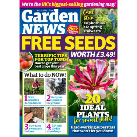 Garden News-12 April 2025 25050841