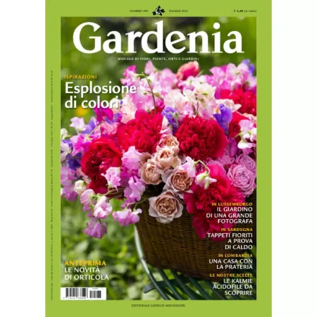 Gardenia-Maggio 2025 25051441