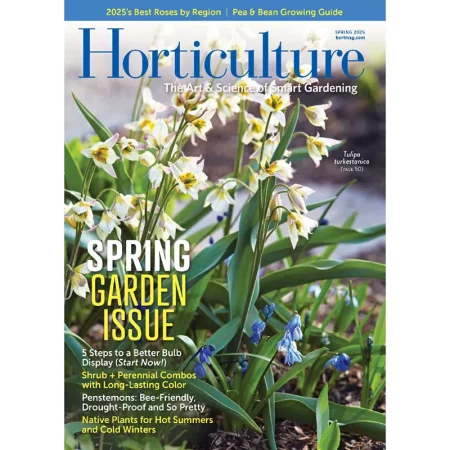 Horticulture-Spring 2025 25041737