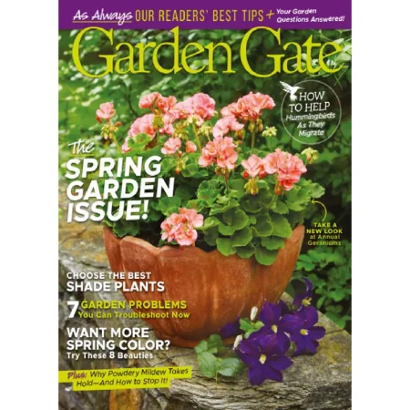 Garden Gate-Spring 2025 25032638